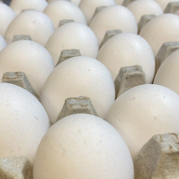 Fresh Eggs Jimbos Wilmington